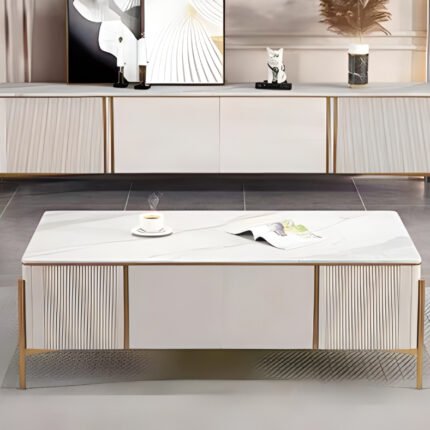 Elegant Coffee Table and TV Console Table Set